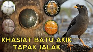 The Special Characteristics Of The Tapak Jalak Agate Stone