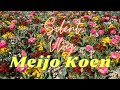 Walking Tour At Meijo Park Beside Nagoya Castle Silent Vlog 