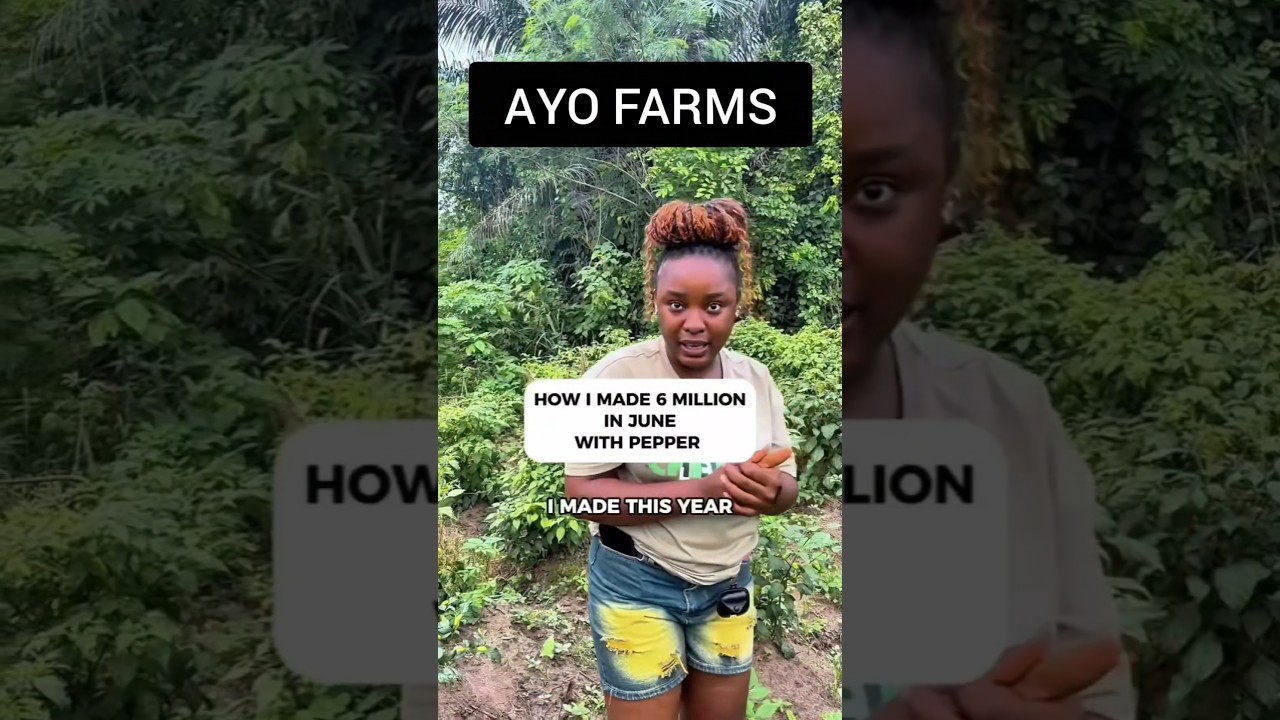How to earn 7 figures in Pepper farming and more