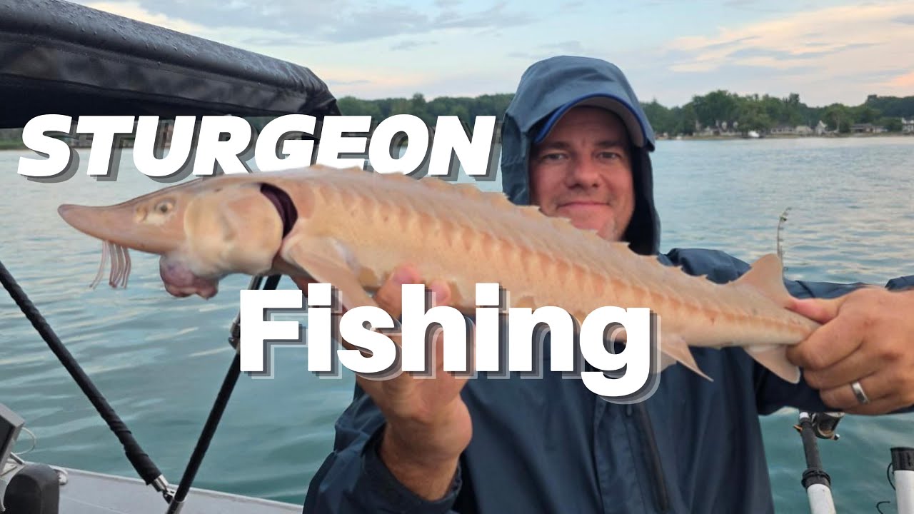 Fishing Sturgeon In Saint Claire River! | Ft. Daniel and RGFS