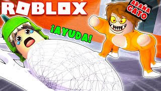 ¡ESCAPA DE LA ARAÑA MAS PELIGROSA DE ROBLOX! 😨🕷😭 ¿SOBREVIVIMOS A ESTA ARAÑA GATO?