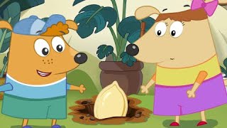 Safety First! Kids Cartoons Featuring Puppies And The Enchanting Journey Of The Magic Seed