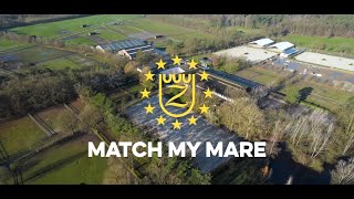 Solid Gold Z - Match My Mare 2022