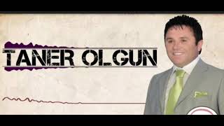 Taner olgun Gezsemde Dünyanın Dörtbucağını Resimi