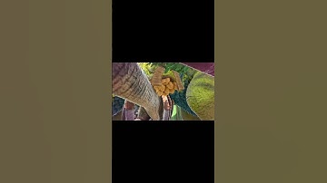 One of the Most Annoying Things in ARK #shorts