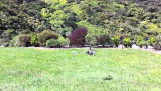 Trex 500 beginner flight