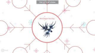 Building a Prezi Part 2