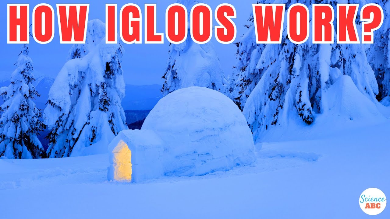 How I Build an Igloo by Myself 