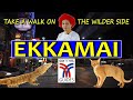 Ekkamai bangkok take a walk on the wildside