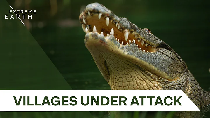Ruthless Nile Crocodiles: Uganda’s Deadly River Predators | Biggest & Baddest