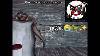 Vietcat in granny be like: