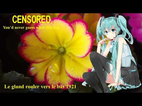 【Hatsune Miku】どんぐりころころ 1921；The acorn to roll down 1921【Vocaloid 5】初音ミク