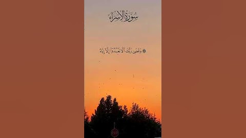 تلاوة عطرة للشيخ #عبدالباسط_عبدالصمد     #المصحف  #القرآن_الكريم # #اكسبلور