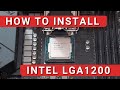 How To Install Intel LGA 1200 CPU