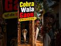 😨 India ka wo gaon log saanpon ke saath rehte hain! 🐍 | Shetphal Snake Village | #Shorts #Mystery