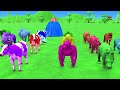 Paint Animals Duck,Tiger,Cow,Lion,Buffalo,Gorilla,Elephant,Dinosaur Fountain Crossing Animal Game Ne