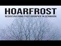 HOARFROST and FOG - IGNITING my passion for landscape photography in Denmark | 4K