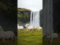 Beautiful Icelandic horses in front of Skogafoss #shorts #iceland #DreamScreenAI