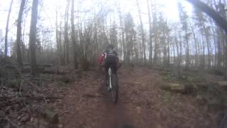 En skøn vinterdag på MTB i Ibjergskoven.