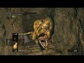 DARK SOULS 1 REMASTERED RUN ANUAL MATANDO BOSSES CON VENENO(CASI) PARTE 3