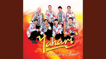 Lluvias De Amor