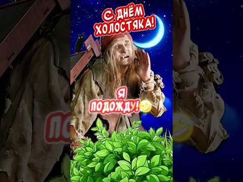 С Днем Холостяка прикольное поздравление 🎉#холостяк #поздравление