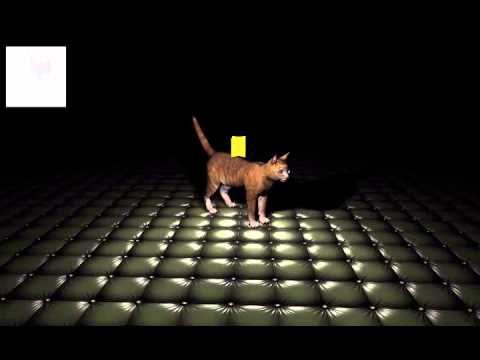 Depth shadow and Normal Mapping
