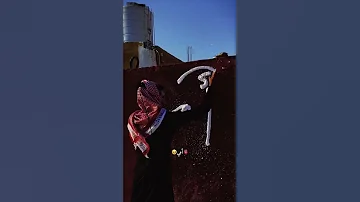 امي ياكل الوجود 