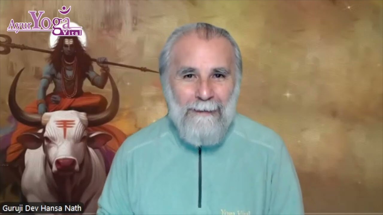 ¿Qué es un yogui? Más allá de las posturas y las apariencias