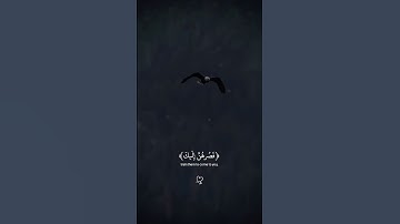 وإذ قَالَ إبراهيمُ ربِ أرنِي كيفَ تُحيي المَوتى | القارئ عبدالله أحمد شعبان #تلاوة_هادئة #ارح_قلبك