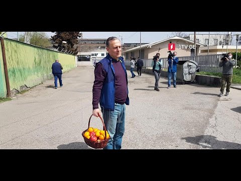 ნიკა მელიას საქმე