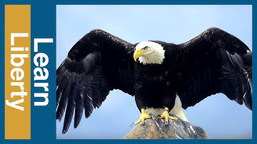 Saving Endangered Species