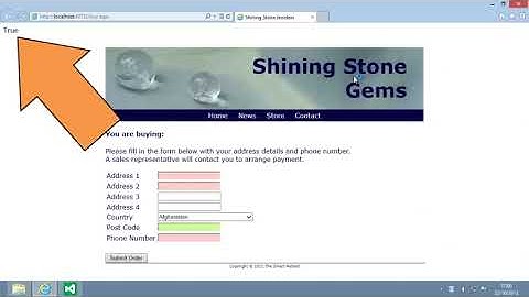 ASP.NET 4.5 Essential Skills Lesson 5-6: Use Boolean variables