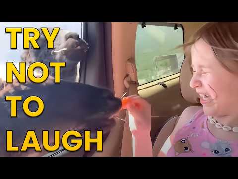 FUNNIEST ANIMALS OF THE WEEK || Try Not To Laugh Challenge!