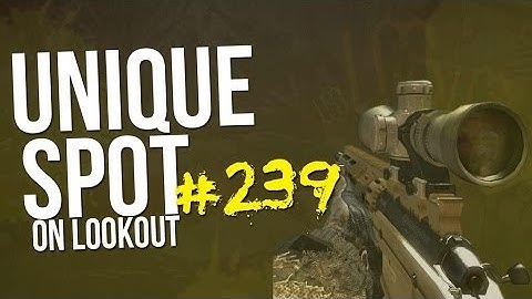 Unique Spot #239  Out Of Map Lookout (MW3)