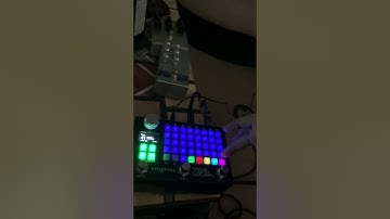 "QUICK SAMPLER" ZOIA Patch Demo