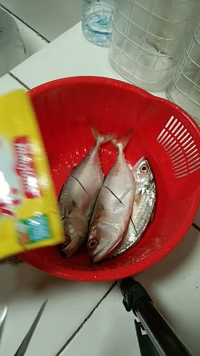 Ikan Goreng Bumbu Racik #short #shorts
