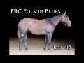 SOLD - Lot #15 FRC Folsom Blues