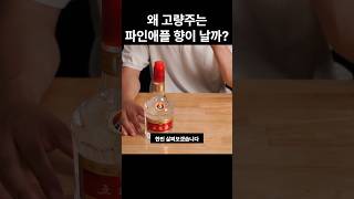 고량주에서 파인애플 향이 나는 이유 #고량주