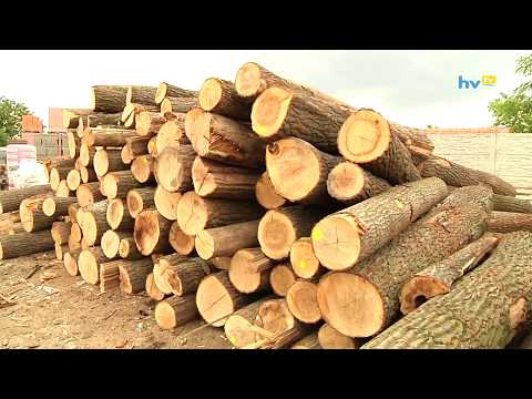 Videó: A Tűzifa Frissítése