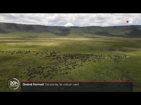Vidéo: Nuages du Cratère De Ngorongoro, Tanzanie [carte Postale] - Réseau Matador