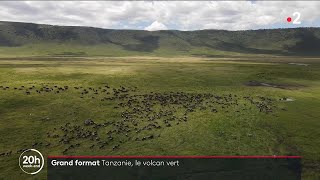 Tanzanie: Le cratère du Ngorongoro, un paradis pour les animaux