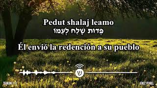 Tehillim / תהלים / Salmos: 95,1, 6, 20, 24, 67, 91, 100, 111, 121, 144, 145, 150  Elad Tsfira