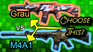 M4A1 vs Grau Quick Comparison! (Choose This?!)