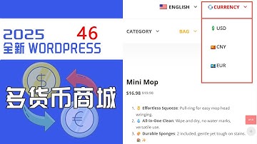 WordPress建站教程46节 免费好用的WordPress多货币切换功能 商城货币插件支持自动汇率 #独立站搭建 #白小菌
