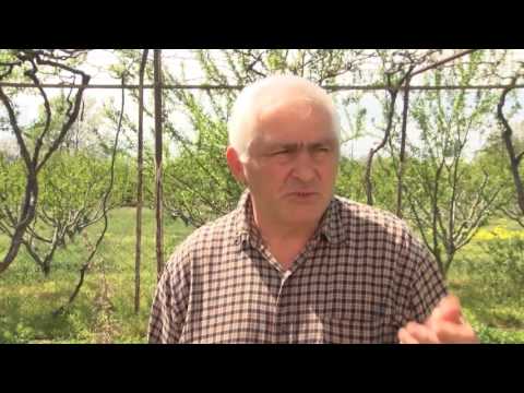 ირიგაციის თანამედროვე მეთოდები ტირძნისის წყალმომხმარებლებს გააცნეს