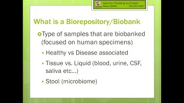 Building a Repository