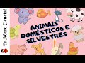 Animais Domésticos e Silvestres (Selvagens) | Ciências | Ensino Fundamental I