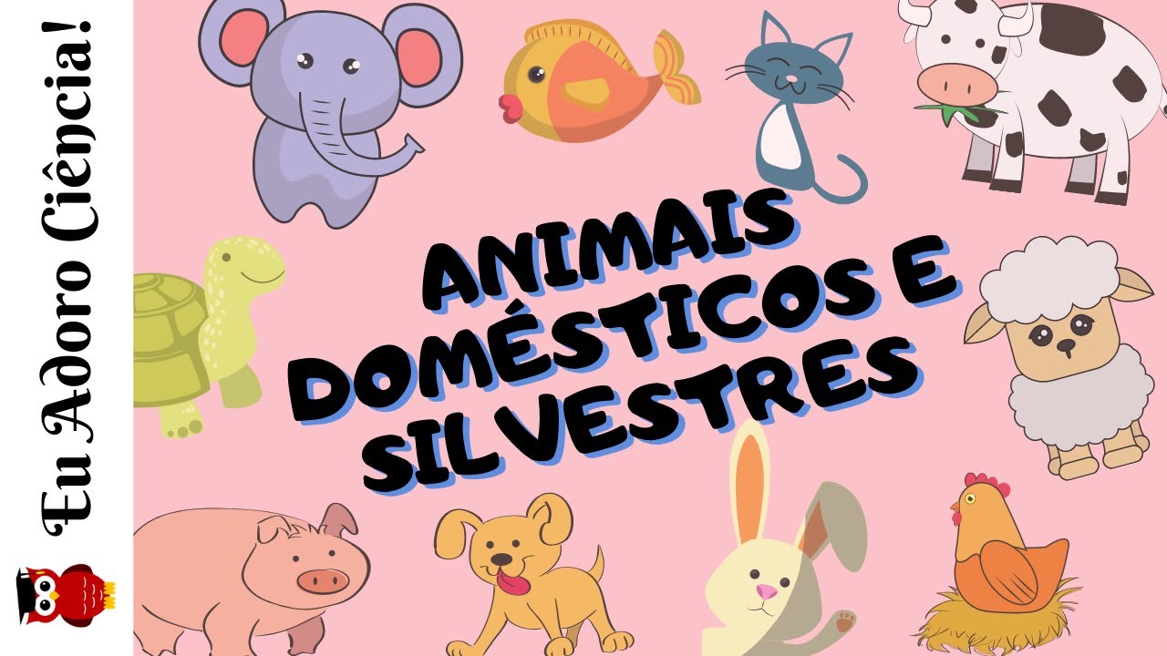 Escola Games: Animais silvestres!