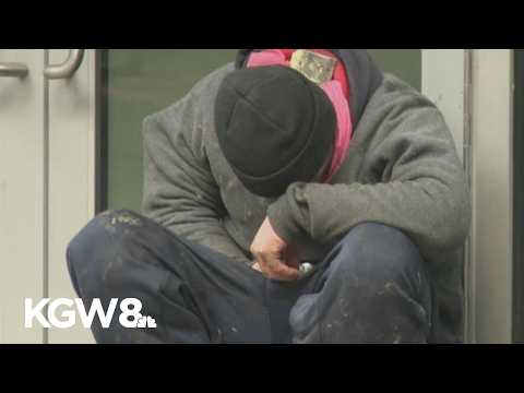 Washington County says 55 participants out of 166 have completed its drug deflection program